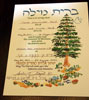 The Certificate Commemorating the Simcha
